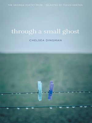 cover image of Through a Small Ghost